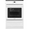 Frigidaire - 24" Built-In Single Gas Wall Oven-Front_Standard