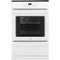 Frigidaire - 24" Built-in Single Gas Wall Oven-Front_Standard