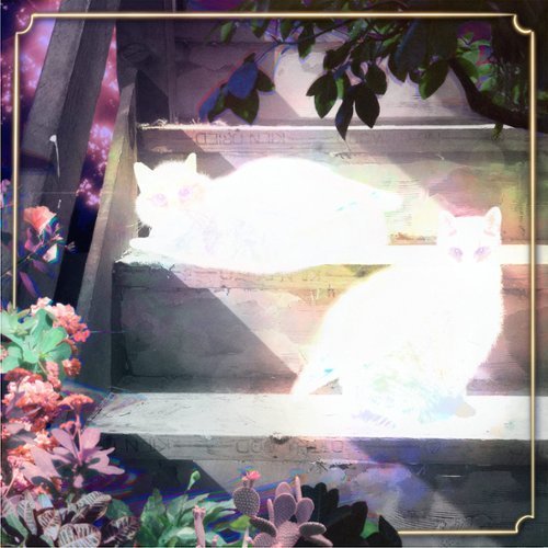 

Retinal Bloom [LP] - VINYL