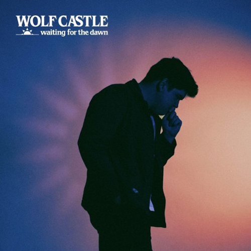 Waiting for the Dawn [LP] [VINYL]