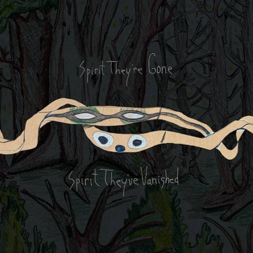 

Spirit They’re Gone, Spirit They’ve Vanished [LP] - VINYL