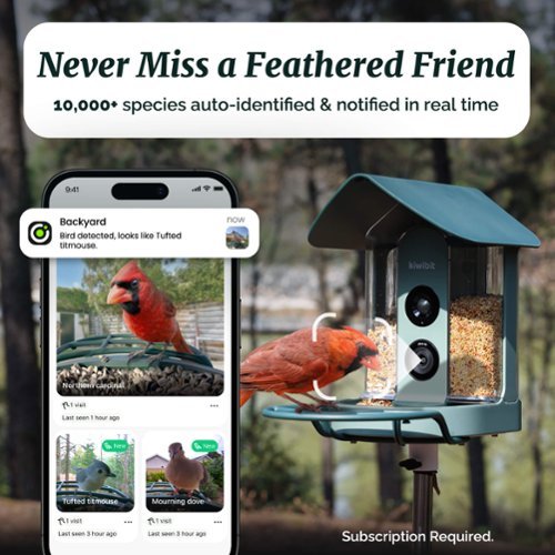 Kiwibit Beako Smart Bird Feeder 4K Camera Solar Powered, AI Detection, Live Stream, Motion Alerts, Easy Outdoor Setup - Green SHOP ONLINE