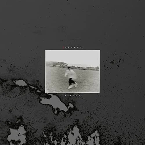 

Reflex [LP] - VINYL