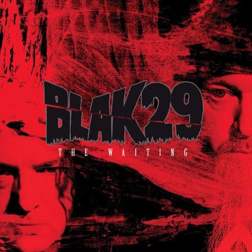  The Waiting [LP] - VINYL INTERNATIONAL SHIPPING