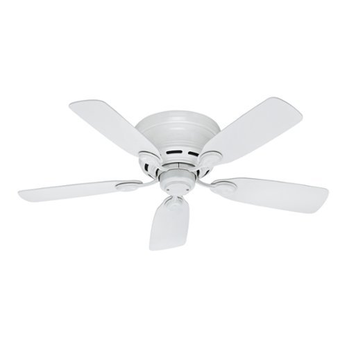 Hunter - Low Profile 42" Ceiling Fan - Light Wood-Front_Standard 
