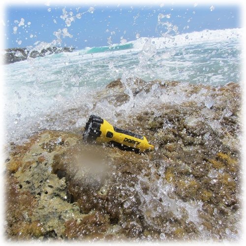Dorcy 55 Lumen Incredible Floating Flashlight - Yellow / Black WHERE TO BUY