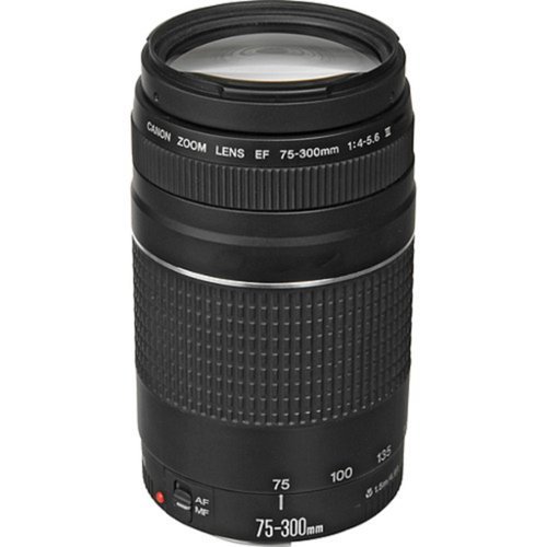 Canon - EF 75-300mm f/4-5.6 III Lens-Front_Standard 