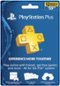 Sony - PlayStation Plus 12-Month Membership-Front_Standard