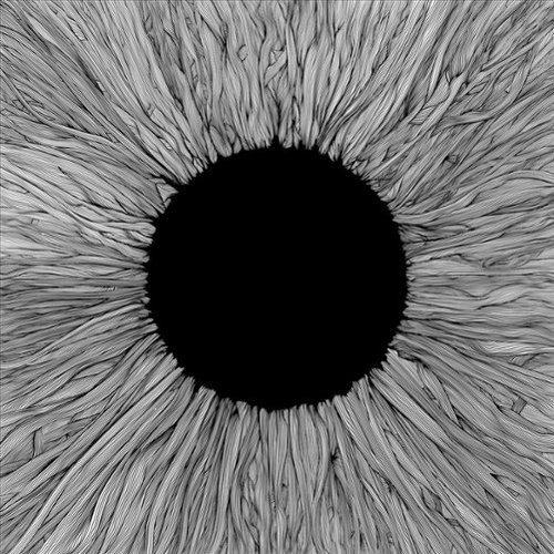 Witness [LP] [VINYL]