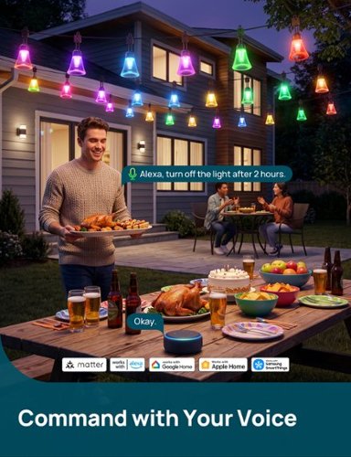 Linkind 48ft Smart Outdoor String Lights, Matter Compatible, AI Effects, IP67 Waterproof, Works with Alexa, Google Home - Black GLOBAL SHIPPING