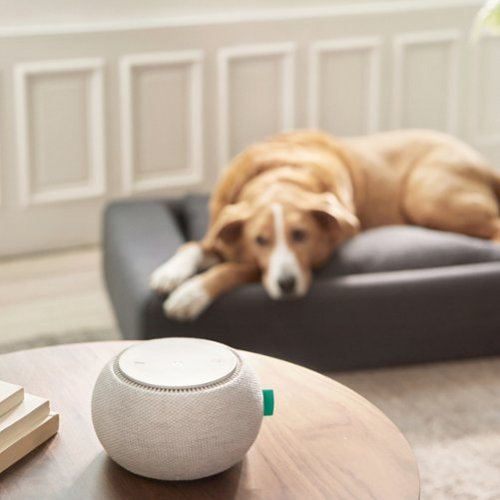 Tuft & Needle SNOOZ Noise Machine - White SHOP ONLINE