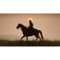 Red Dead Redemption 2 Standard Edition - PlayStation 4-Alt_View_Standard_20