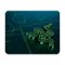 Razer - Goliathus Mobile Gaming Mouse Pad - Blue/Green-Front_Standard