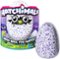 Spin Master - Hatchimals Draggles - Multi-Front_Standard