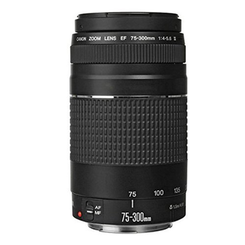EF 75 300mm f/4 5.6 III Lens Accessory Kit for Canon T3i T2i T1i
