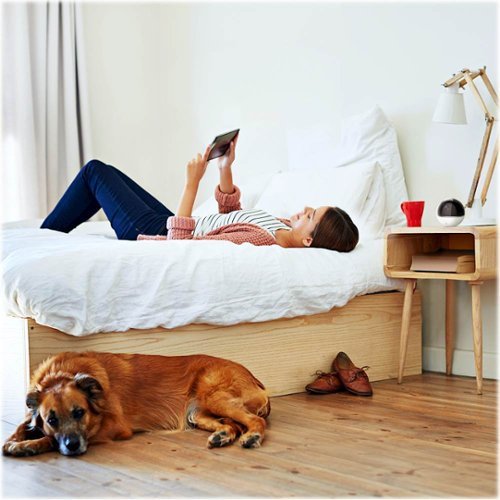 EZVIZ Pan and Tilt Indoor 1080p Wi-Fi Network Surveillance Camera WHERE TO BUY