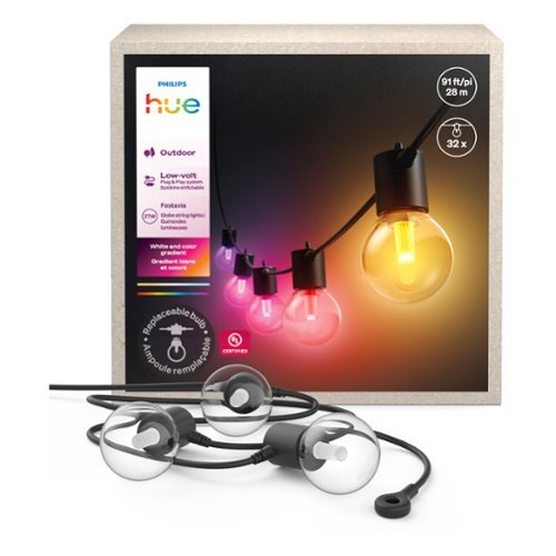Philips - Hue Festavia Smart Color-Changing Globe Outdoor String Lights 92 ft (32 Bulbs)-Front_Standard 
