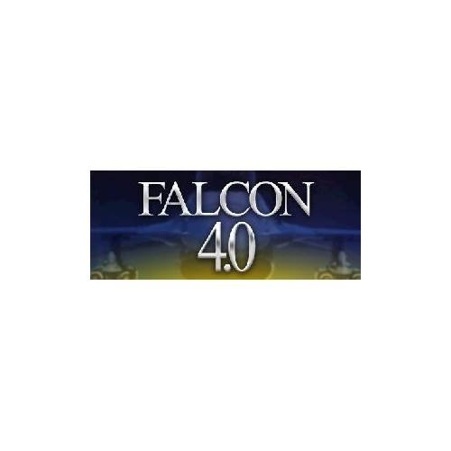 Falcon 4.0 - Windows