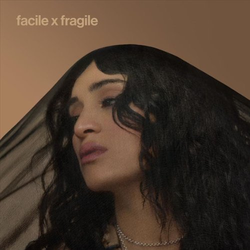 

Facile x Fragile [LP] - VINYL