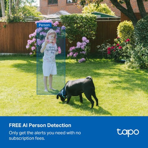TP-Link Tapo Indoor/Outdoor 2K Security Plug-In Camera with Advanced AI Motion and Sound Detection - No Monthly Fees - White BUY IN DUBAI