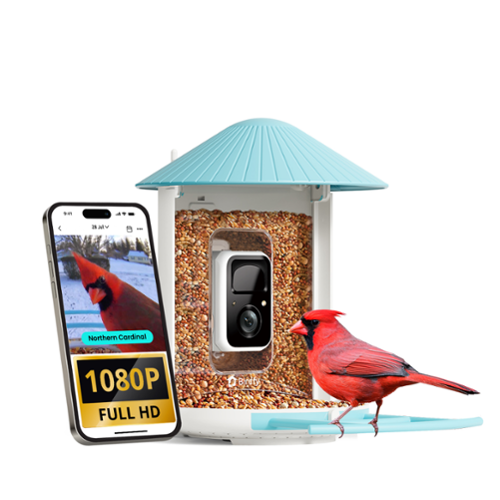 BIRDFY - Smart Bird Feeder with Camera, AI Bird Recognition (7-Day Free Trial), HD Video for Backyard Birdwatching - Blue-Front_Standard 