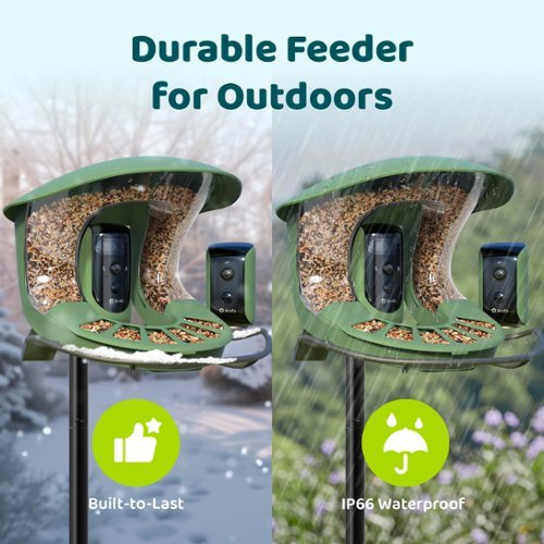BIRDFY Birdfy 2 Smart Bird Feeder with Camera, Dual-Angle Views,AI Identifies 6000+ Birds,Solar-Powered, Motion Detection - Green HOW TO BUY