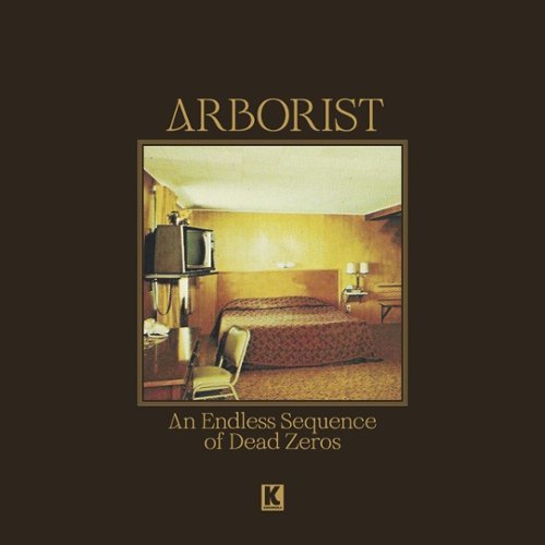 An Endless Sequence of Dead Zeros [LP] - VINYL