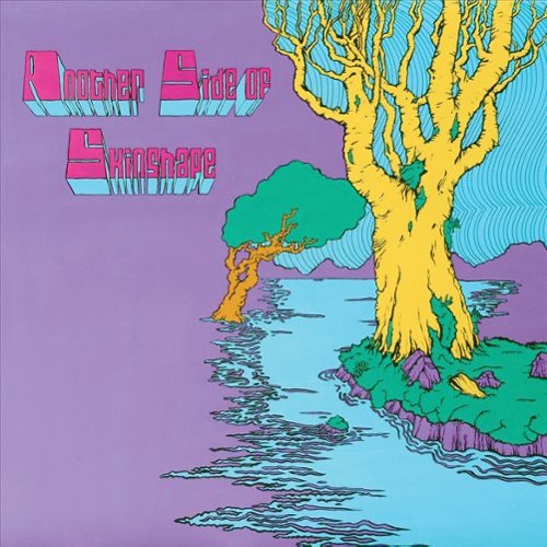 Another Side of Skinshape [LP] [VINYL]