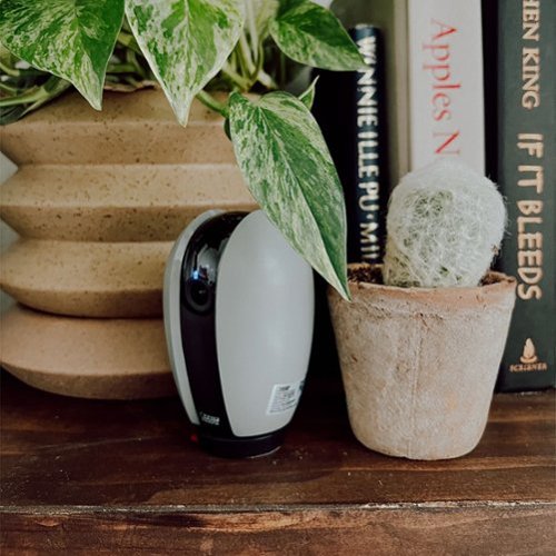 FEIT ELECTRIC Indoor Pan/Tilt Camera with Wi-Fi - Gray/Black GLOBAL SHIPPING