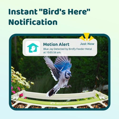 BIRDFY Birdfy Smart Bird Feeder with Camera, Durable Metal Bird Feeders for Outdoors, AI Identify Bird Species - Green WORLDWIDE DELIVERY