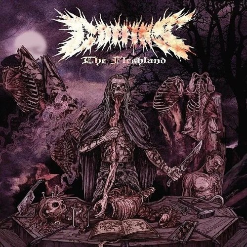  The Fleshland [LP] [VINYL] INTERNATIONAL SHIPPING