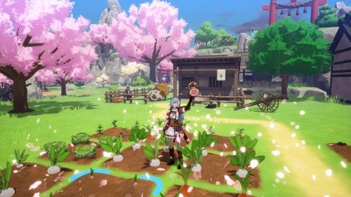 XSEED Games Rune Factory: Guardians of Azuma: Earth Dancer Limited Edition - Nintendo Switch GLOBAL SHIPPING