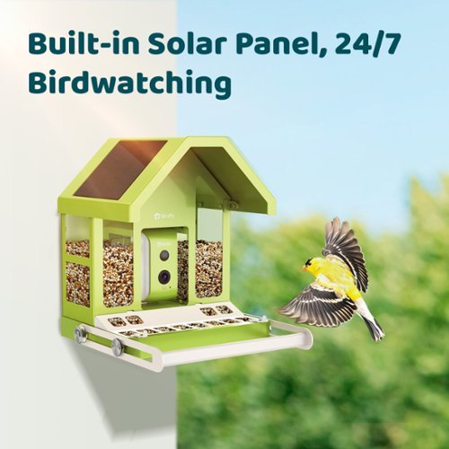 BIRDFY Birdfy Smart Bird Feeder with Camera, Durable Metal Bird Feeders for Outdoors, AI Identify Bird Species - Green HOW TO BUY