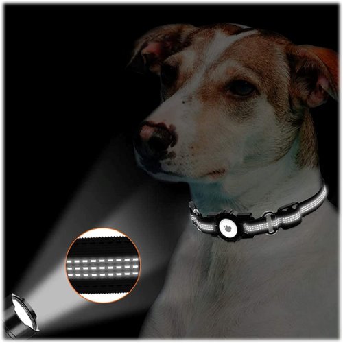 SaharaCase Nylon Dog Standard Collar with Apple AirTag slot - 14-in to 20-in Neck - Black GLOBAL SHIPPING