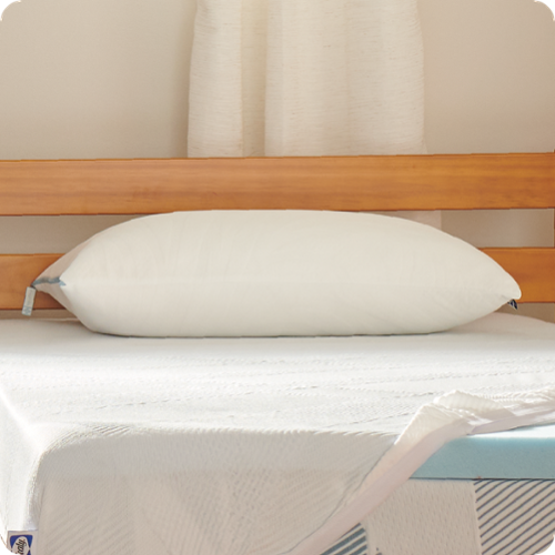 Sealy - Dreamlife™ Shredded Foam Pillow, Standard - White