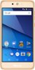 BLU - Grand M2 3G with 8GB Memory Cell Phone (Unlocked) - Gold-Front_Standard 