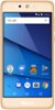 BLU - Grand M2 3G with 8GB Memory Cell Phone (Unlocked) - Gold-Front_Standard