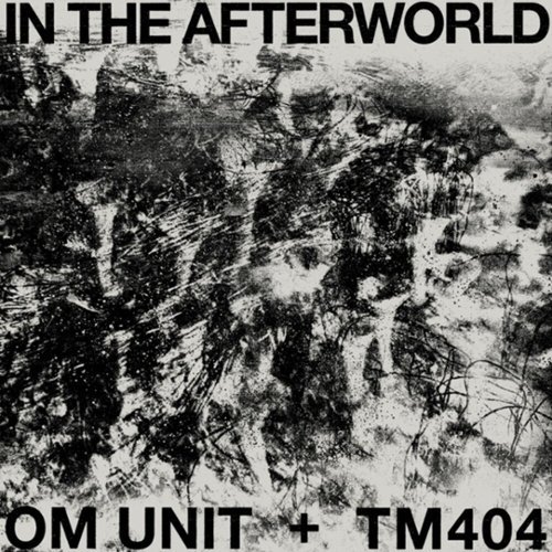 In the Afterworld [LP] - VINYL