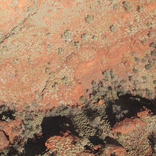 

Tropic of Capricorn [LP] - VINYL