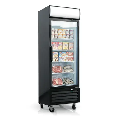 Front. WHALL - WHALL 19.3 Cu.Ft Commercial Glass Door Freezer, Upright Merchandiser, Auto Defrost, LED Light, ETL Certified - Black.