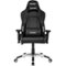 AKRacing - Masters Series Premium Gaming Chair - Black-Front_Standard 