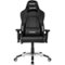 AKRacing - Masters Series Premium Gaming Chair - Black-Front_Standard