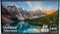 SunBriteTV - Veranda Series 65" Class LED Outdoor Full Shade 4K UHD TV-Front_Standard