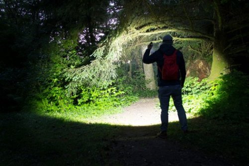 Coast 650 Lumen LED Flashlight - Black WHERE TO BUY