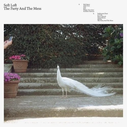 

The Party and the Mess [LP] - VINYL