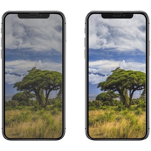 ArtsCase Strong Shield Glass Clear Screen Protector for Apple iPhone XR and Apple iPhone 11 - Black Frame WORLDWIDE DELIVERY