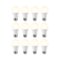 Sengled - Smart A19 LED 60W Bulbs Works with Amazon Alexa, Google Assistant, SmartThings & Wink (12-Pack) - White Only-Front_Standard