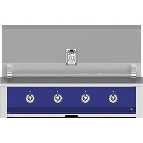 Aspire by Hestan - By Hestan 42.1" Built-In Gas Grill - Prince