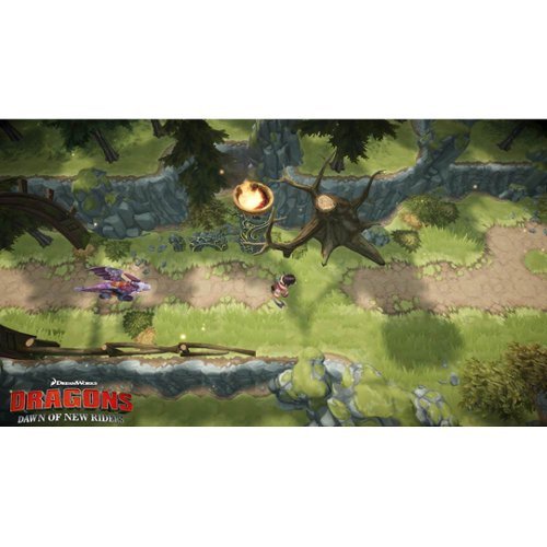 Outright Games Dragons Dawn of New Riders - Nintendo Switch WORLDWIDE DELIVERY