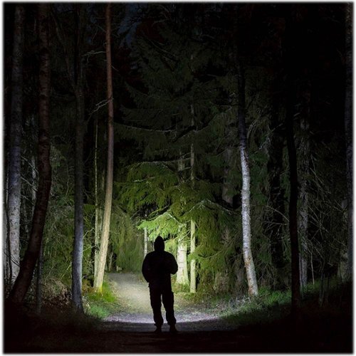 Panther Vision FLATEYE 1700 Lumen LED Flashlight - Black BUY IN UAE